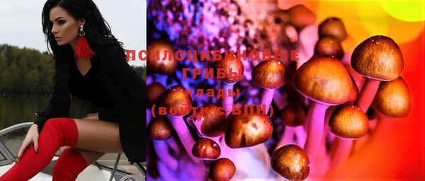 прущие крисы Алексеевка