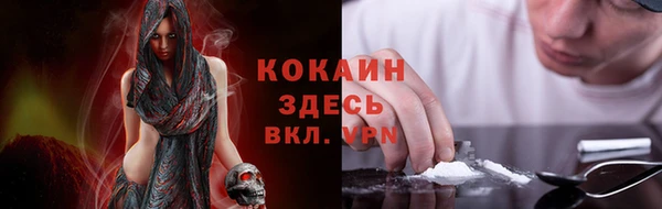 прущие крисы Алексеевка